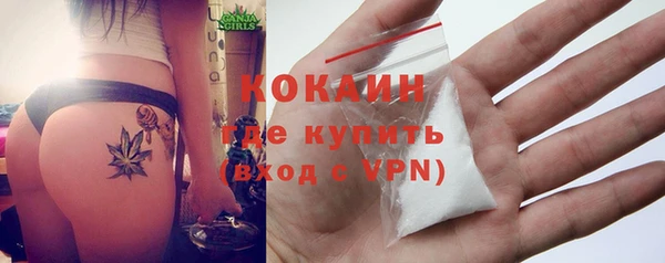 мет Арсеньев