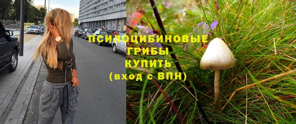 мет Арсеньев