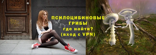 мет Арсеньев