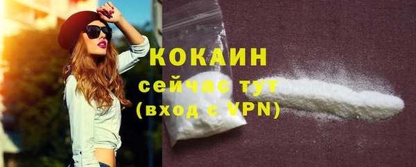 мет Арсеньев