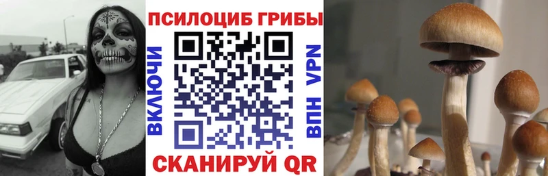 Псилоцибиновые грибы мицелий  Россошь 
